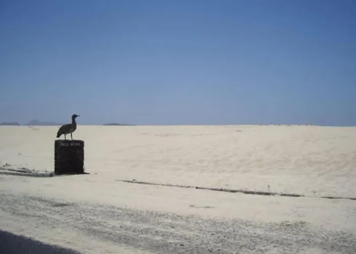 アパート Lovely - Pool Front, Private Roof Terrace, Wifi Fiber Optic コラレホ