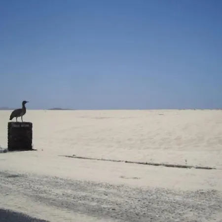 Apartman Lovely - Pool Front, Private Roof Terrace, Wifi Fiber Optic Corralejo